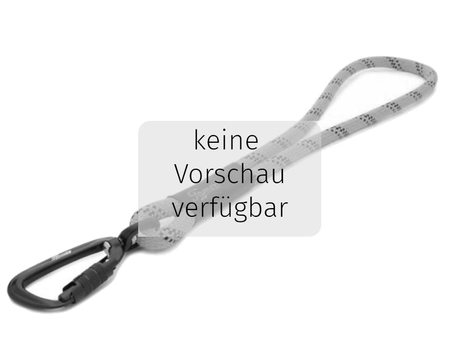 Kurzführer - TWIST Karabiner