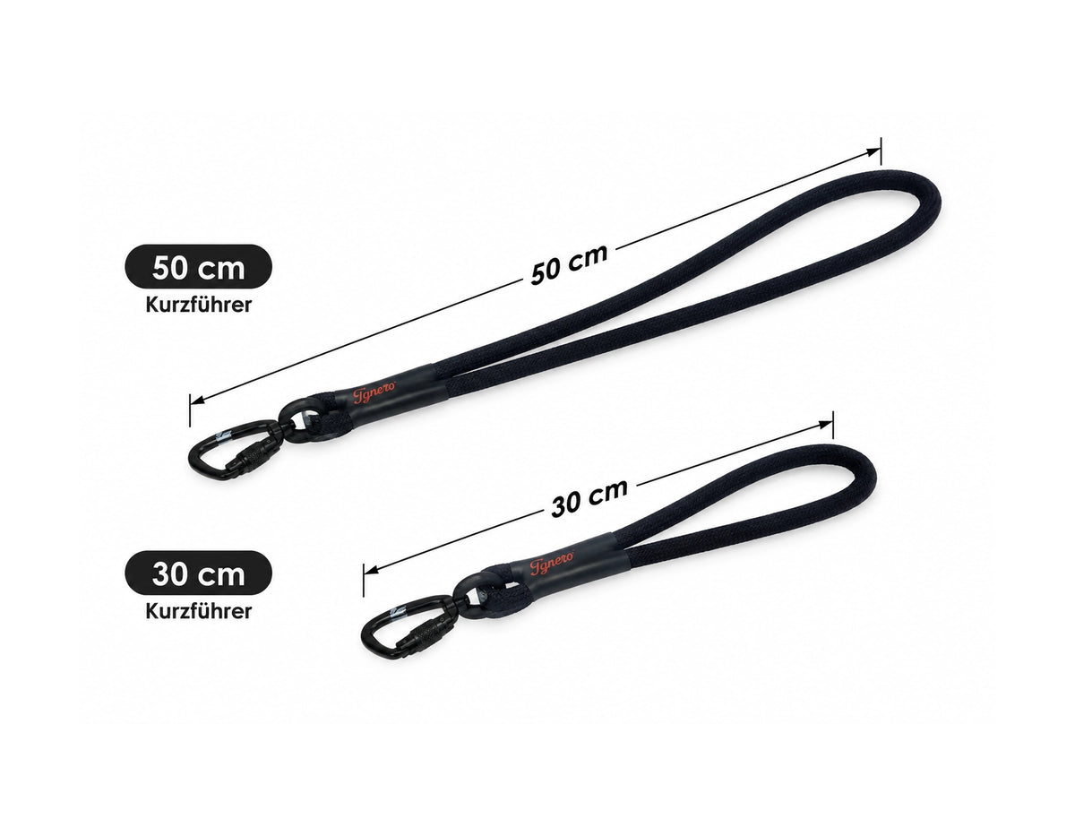 Kurzführer - TWIST Karabiner