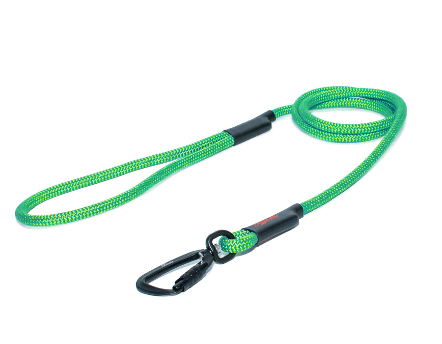 Klassische Hundeleine - M - TWIST Karabiner