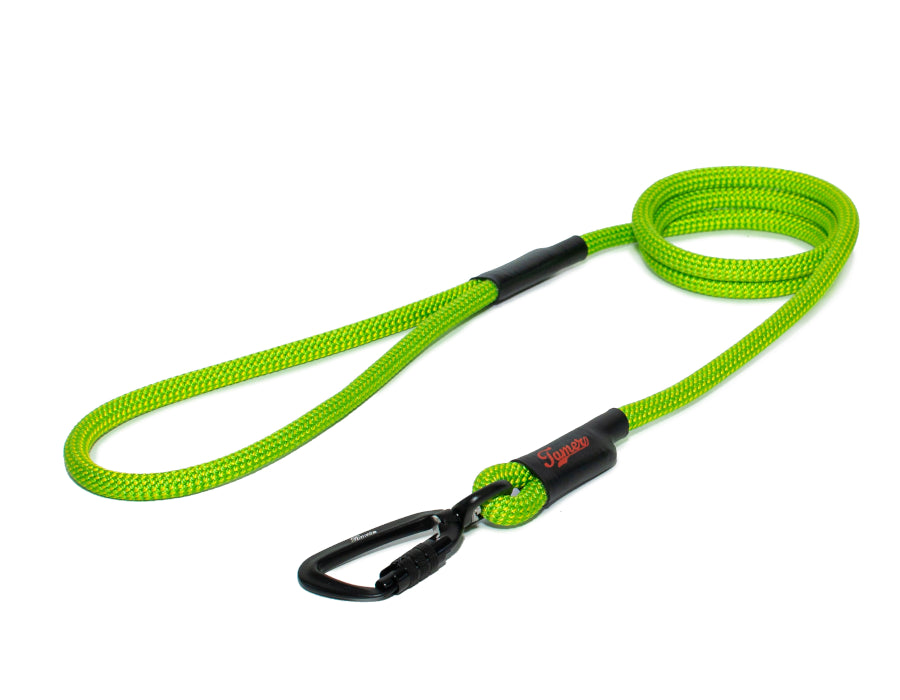 Klassische Hundeleine - M - TWIST Karabiner