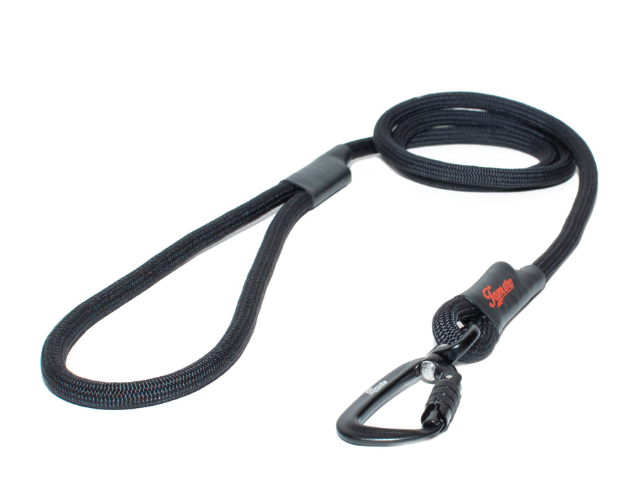 Klassische Hundeleine - M - TWIST Karabiner
